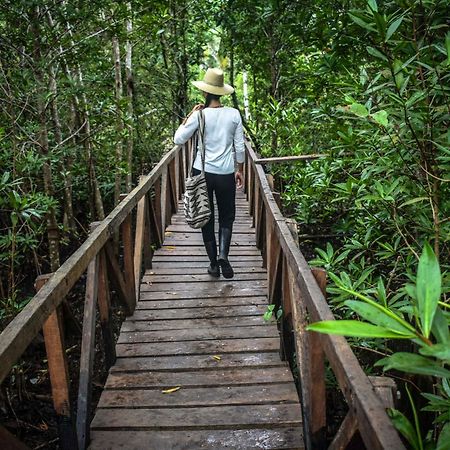 Jardin Botanico Del Pacifico Y Mecana Ecohotel باهيا سولانو المظهر الخارجي الصورة